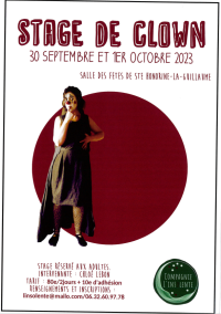 STAGE DE CLOWN