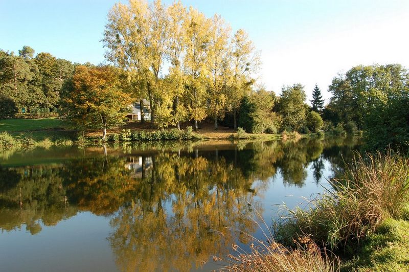 Etang Automne