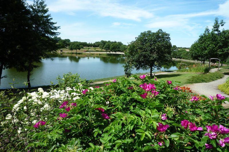 Etang queue Aronde