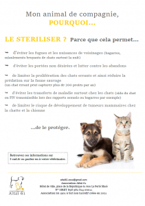 Mon animal de compagnie