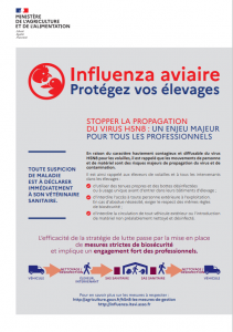 Élévation du risque en matière de grippe aviaire et mesures de prévention et protection mises en place